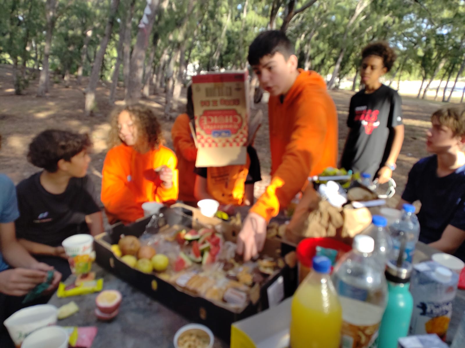Rodrigues 4 (15)
