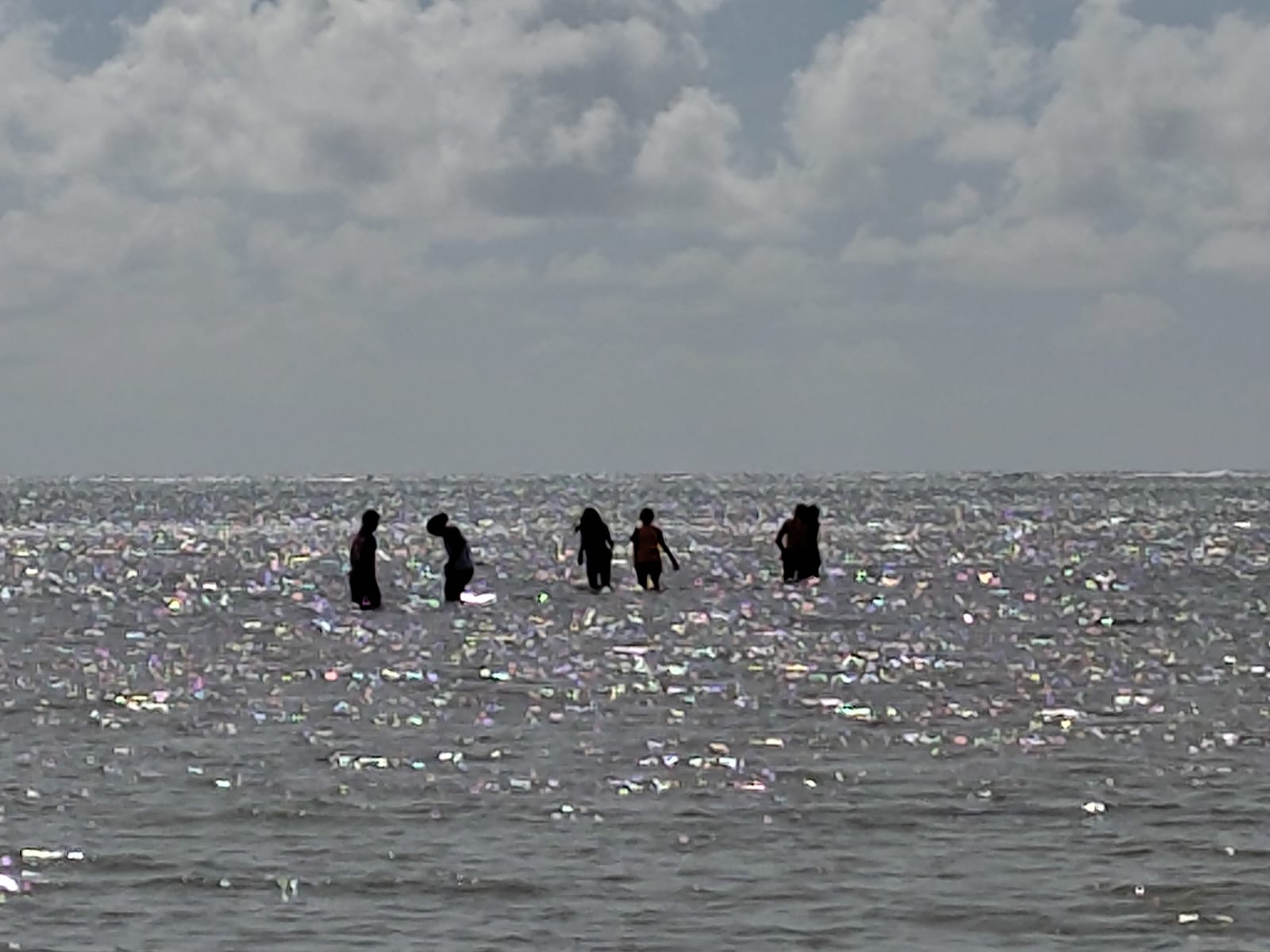 Rodrigues 4 (23)
