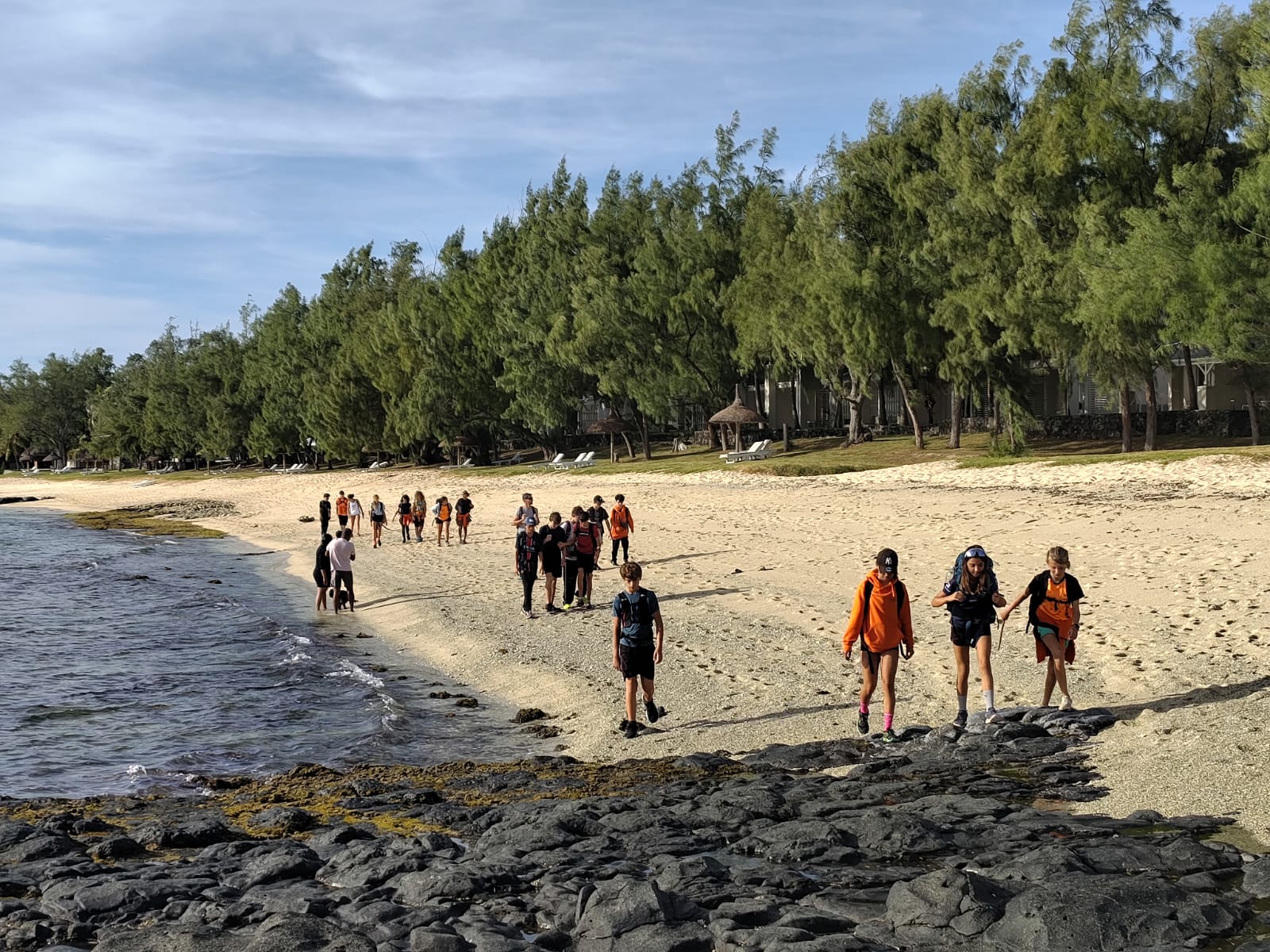 Rodrigues 4 (29)