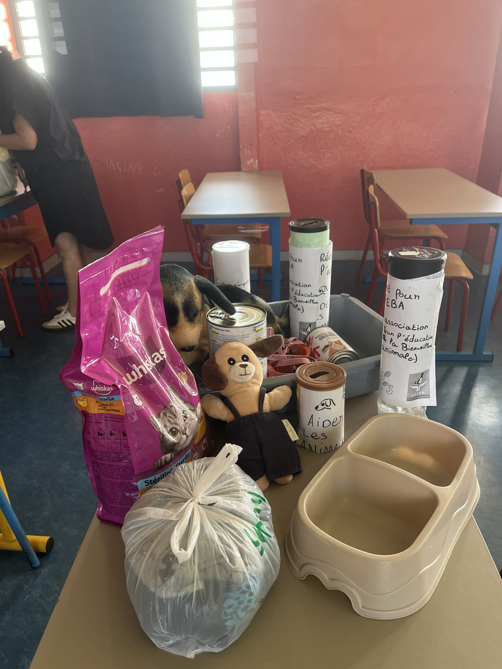 eco delegues apeba 4