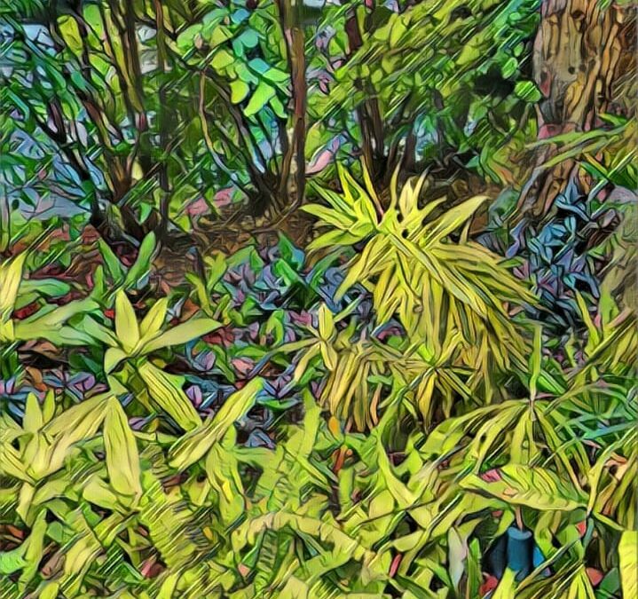 Il était une fois…les Jardins de Juliette