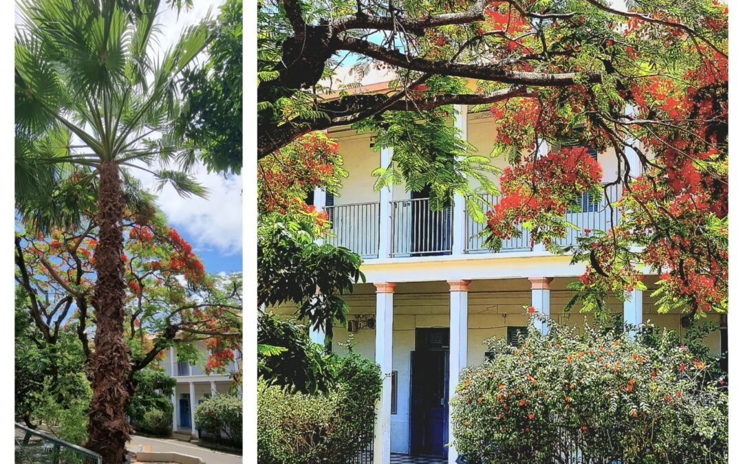 Deux élèves du collège Juliette Dodu primés au Concours de Dessin d’Architecture