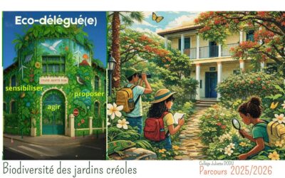Les jardins créoles à l&rsquo;honneur : le parcours 2025/2026 de nos éco-délégués