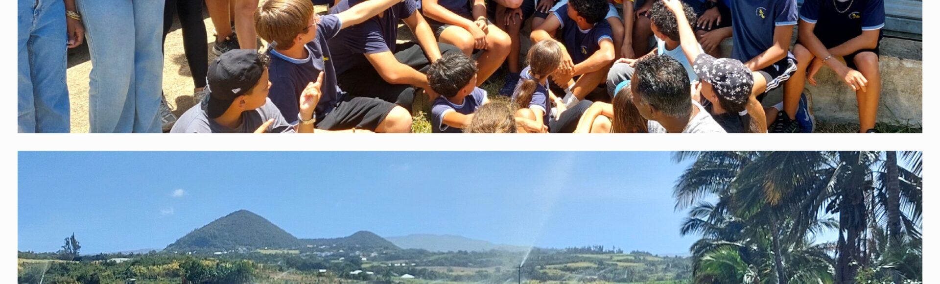 Eco-délégués : Visite d&rsquo;une exploitation agricole « Ici, c&rsquo;est Péï « 