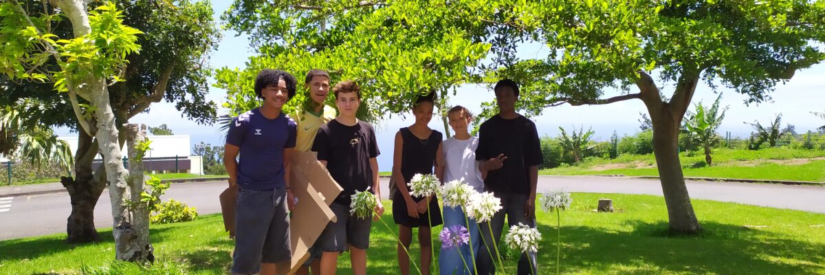 Végétalisation au collège