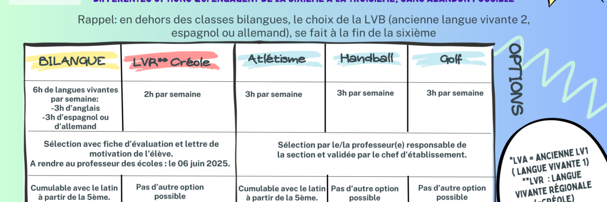 Choix des options au collège