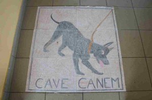 cave-canem-300x199