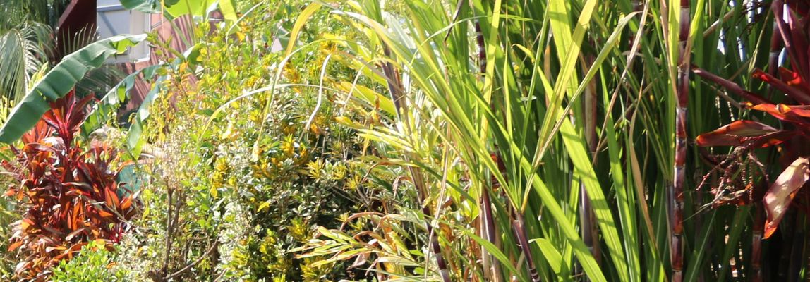 Visière De Golf Ajustable – Style Pain De Sucre, Coton Vert, Unisexe