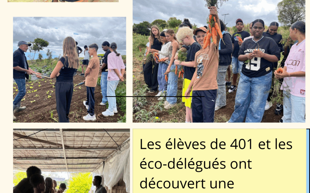 Opération « ban frui ek légum »