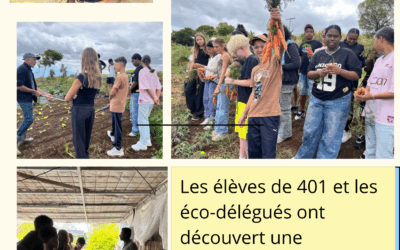 Opération « ban frui ek légum »