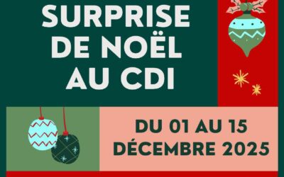 Prêt surprise de Noël