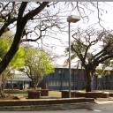 Présentation du Collège