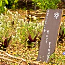 Présentation du Collège