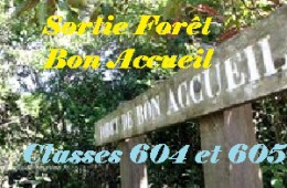 Visite Forêt de Bon Accueil