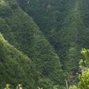 Le sport forme la jeunesse