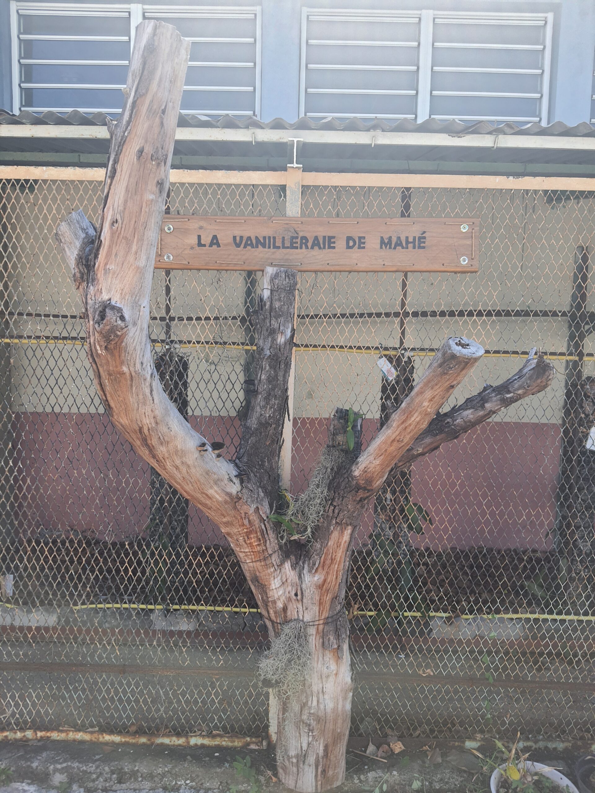 LA VANILLERAIE DE MAHÉ