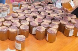 Café des parents et atelier apiculture à la SEGPA du Collège Mahé