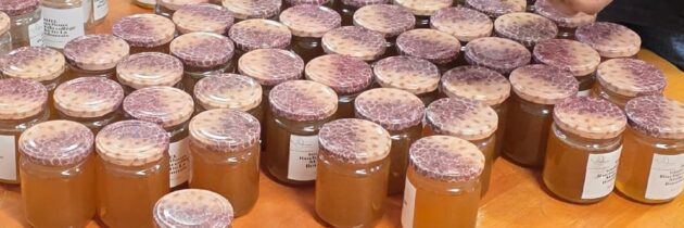 Café des parents et atelier apiculture à la SEGPA du Collège Mahé