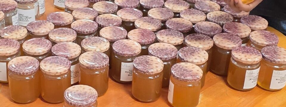 Café des parents et atelier apiculture à la SEGPA du Collège Mahé