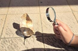 Les 5eme expérimentent et modélisent pour comprendre saisons et climats.