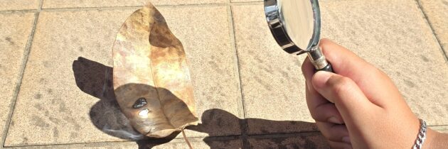 Les 5eme expérimentent et modélisent pour comprendre saisons et climats.