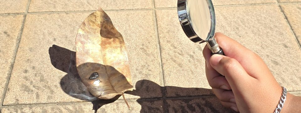 Les 5eme expérimentent et modélisent pour comprendre saisons et climats.