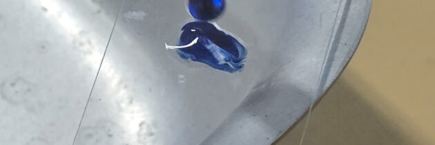 Les travaux pratiques en SVT: réaliser une préparation microscopique pour observer des cellules.