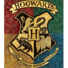 Journée Magique – 18 novembre 2025