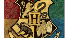 Journée Magique – 18 novembre 2025