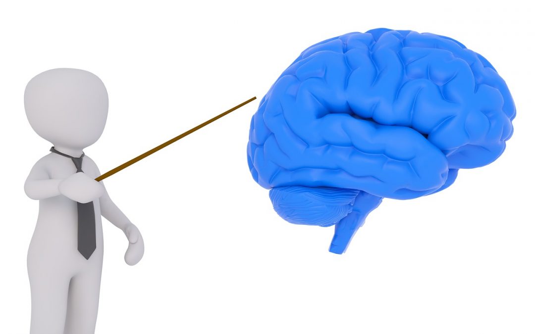 Est-ce-qu’un AVC peut se produire dans le lobe frontal ?