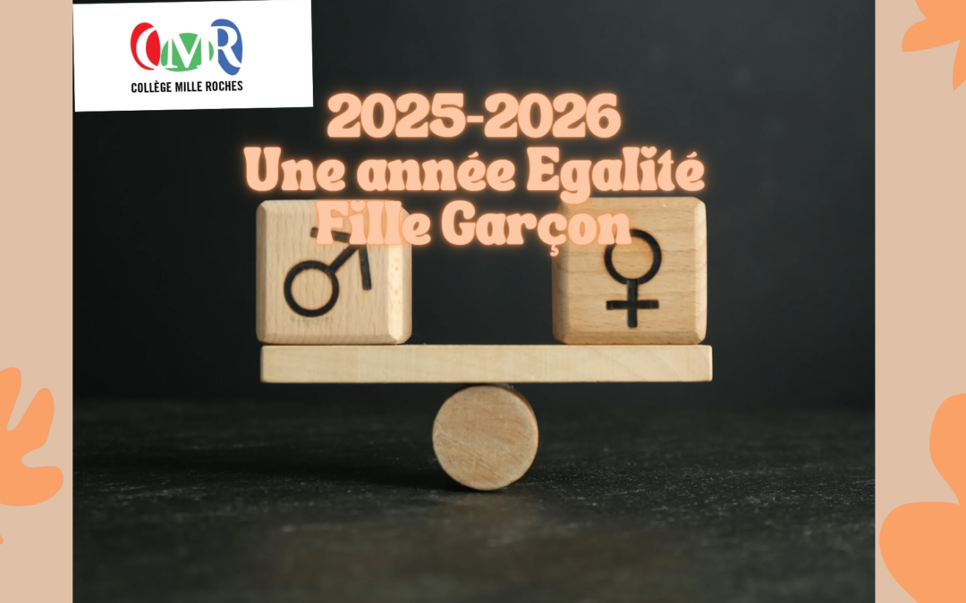 Bilan : une année EFG 2025-2026