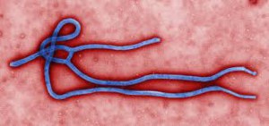 Image Ebola