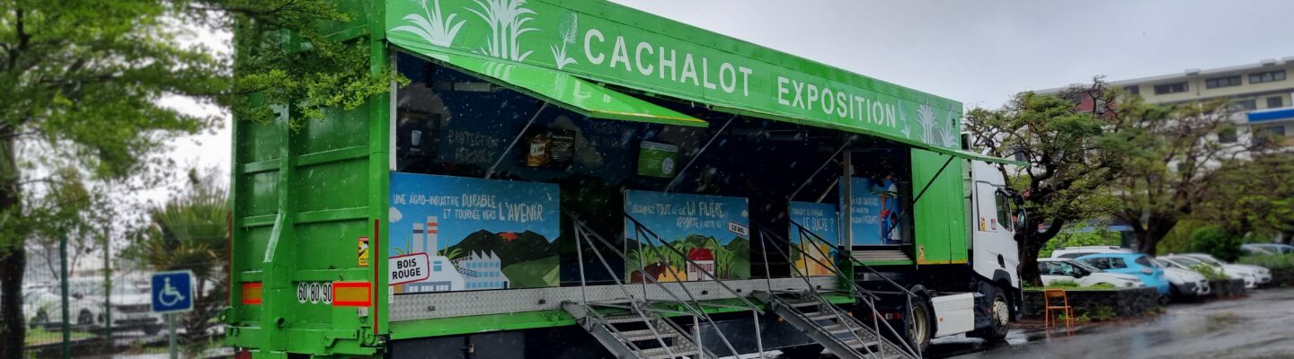 Le cachalot EXPOSITION : Canne à sucre