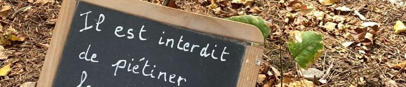 Collège Paul Hermann