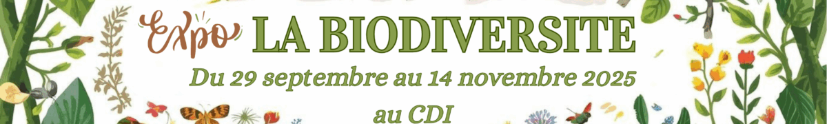 Collège Paul Hermann