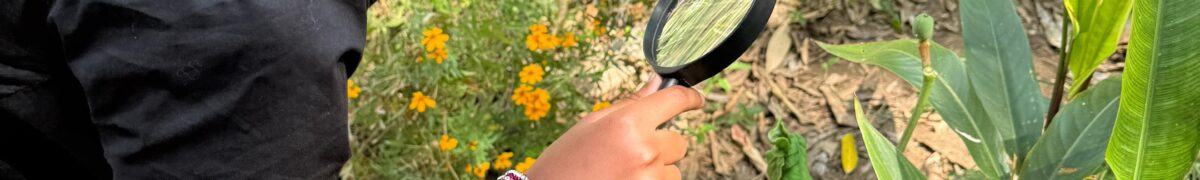 Collège Paul Hermann