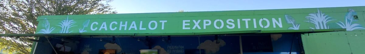 Collège Paul Hermann