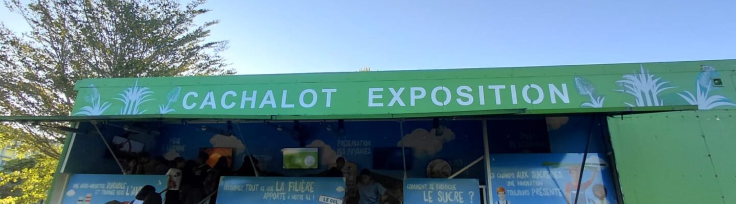 Cachalot Exposition