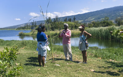 A la rencontre des anciens du quartier de l’ étang du Gol Saint Louis