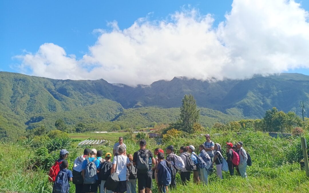Projet PEAC Parc National : La classe CHAAP en coeur de Parc au sentier Bon Accueil aux Makes