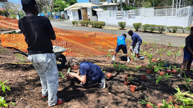 plantation de la micro-forêt en vidéo 9 et 10 octobre