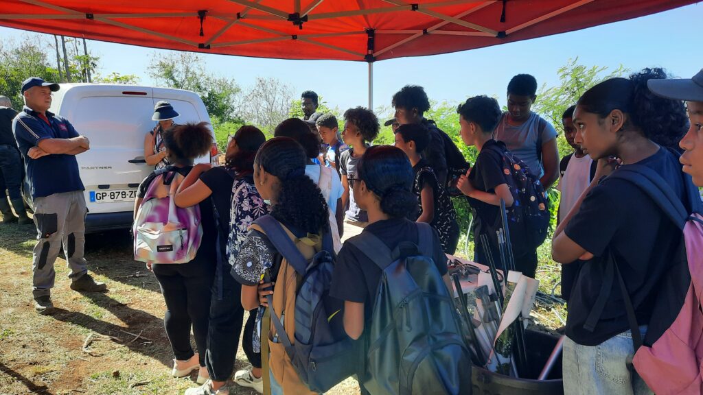 bann fruits ek legum dans nout kolez