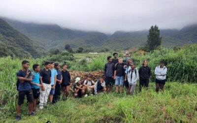 les éco-délégués en action : chantier de lutte contre les EEE