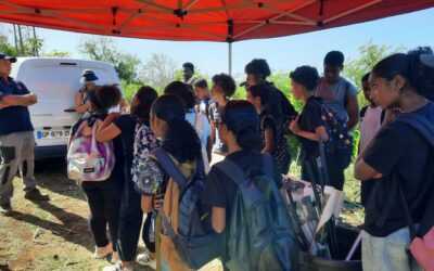 bann fruits ek legum dans nout kolez