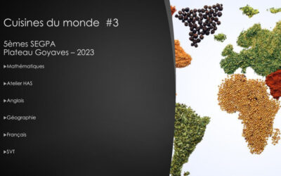Comme l’année dernière, les cinquièmes SEGPA ont participé cette année à un projet « cuisines du monde » durant 4 semaines, avec deux objectifs :