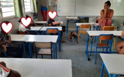 Mediation animale , accueil de Nala chien de médiation