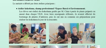 Rencontre inter-ULIS – Collège du Ruisseau & Collège de la Pointe des Châteaux