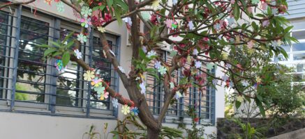 Projet NON à toutes formes de harcèlement au collège Pointe des Châteaux