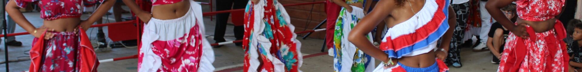 Gran 20 DESANM au collège Pointe des Châteaux