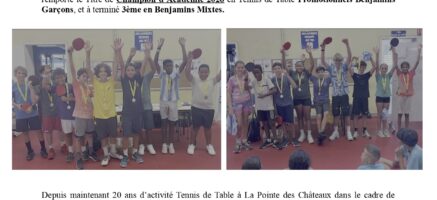 Champion d&rsquo;Académie en Tennis de Table !